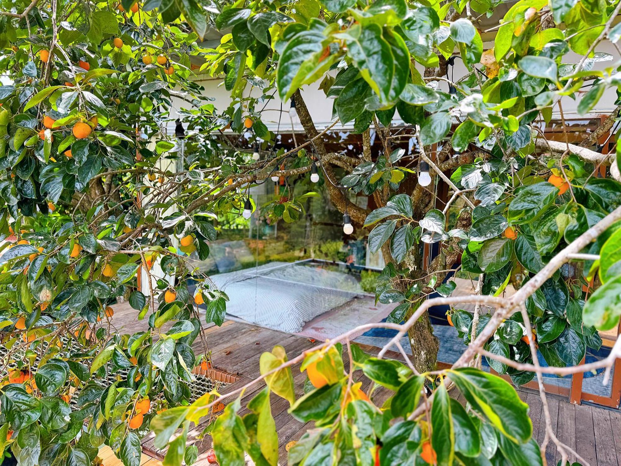 An Yen Villa Da Lat Esterno foto